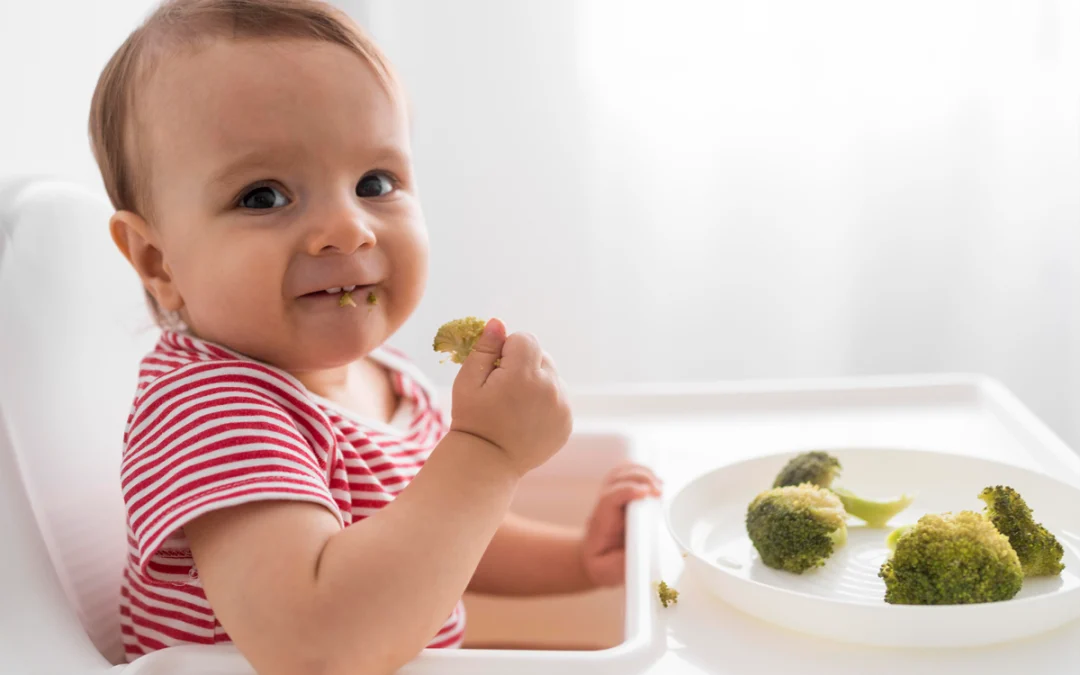 Alimentación Complementaria